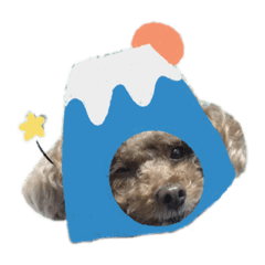卡哇伊阿臭