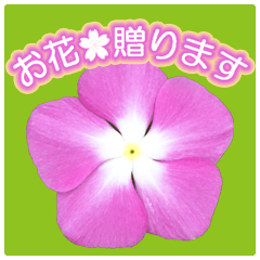 The flower Sticker -Let's give a flower-