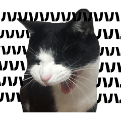 asuka_20210802130403