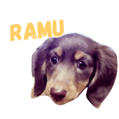 RAMU'S STAMP