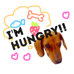 Rikky !!