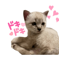 hana_20210802101515