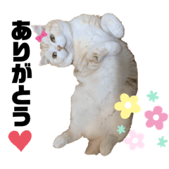 fuku mama_20210802171647