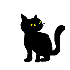 black cat expressing