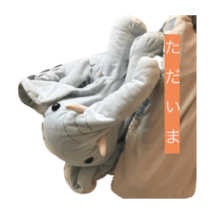 saiko_20210802160036