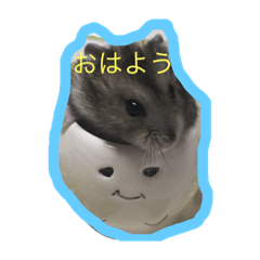 hamster..