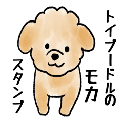 Toy poodle Moca's stickers!