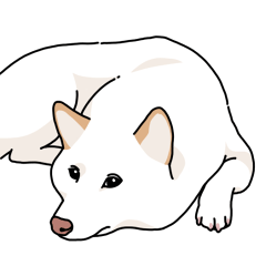 白柴犬Chobi貼圖3 (日文)