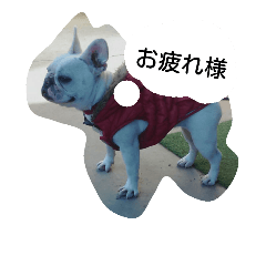 tokudake