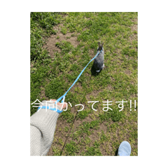 Aoi_20210801221006