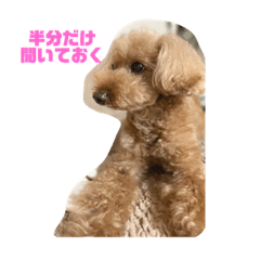 NANAMI_20210802190127