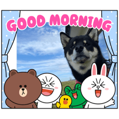 suzu_20210802195655