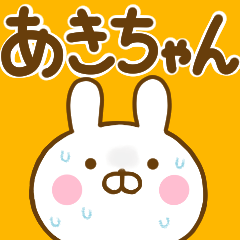 Rabbit Usahina akichan