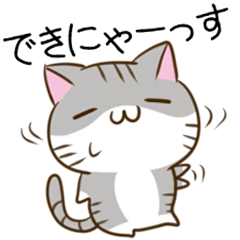 Cats & hamsters of Shizuoka dialect