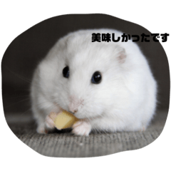king_20210803092550