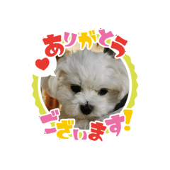 chisa_20210802170547