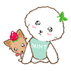 mintchocochan