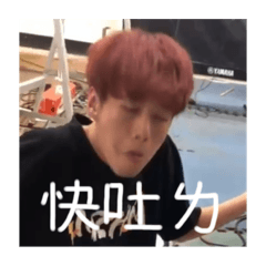 龍龍表情包