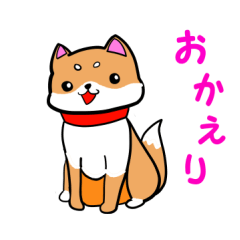 shibainu Lucky wan