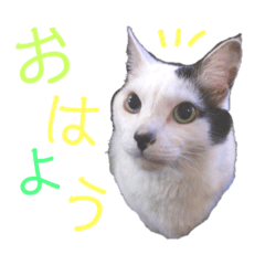 asuka_20210802181916