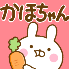 Rabbit Usahina kahochan