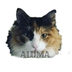 Nui studio_20210802201744