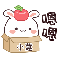 JOJO Bunny_1575_SIAO HUEI