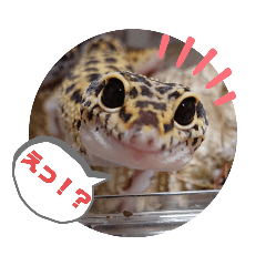 Natsumi_20210802181237