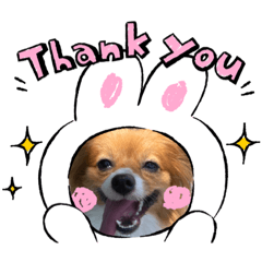 dodo_rinrin_20210802220246