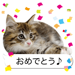 Tantan's Sticker ver.2 (cats)