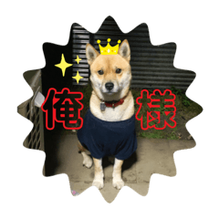 SAORI_20210803001955