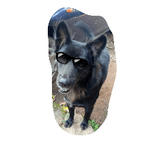 The black dog.