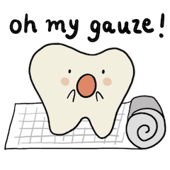 momo the baby molar (vol. 2)