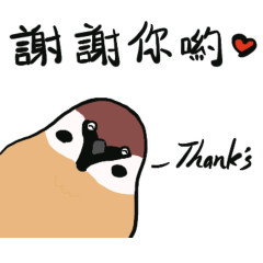 Bird talk for thanks