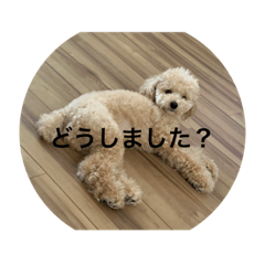 chibi_20210802222121