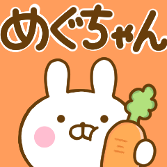 Rabbit Usahina meguchan