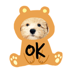 Lua Arakawa the dog