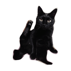 黒猫マーちゃん2 Line スタンプ Line Store 黒猫マーちゃん2 Line スタンプ Line Store