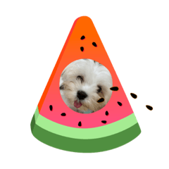Kayo_20210803123946