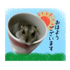 hamster's stamp "Daihuku chan"