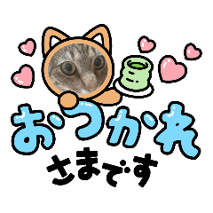 risa_20210803141820