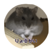 hamustarr