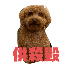 我是薯餅-1