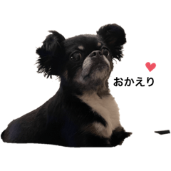 asuka_20210803163439