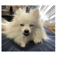 ayumi_20210803163434