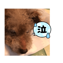 kosuke_20210803181007