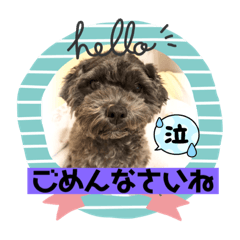 akiko_20210803181321