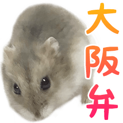 Jungarian hamster....Osaka