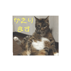 tori_20210803192949