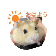 risa_20210803202730